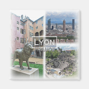FR0121 Europa, Frankrijk, Lyon, Koelkast Magneet