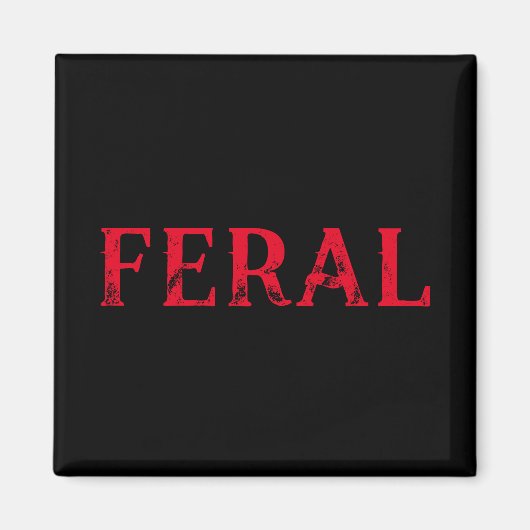 Fraal Magneet (Voorkant)