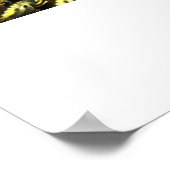 Fracamaska Fractal Poster (Hoek)