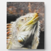 Fracguana Fotoplaat (Voorkant)