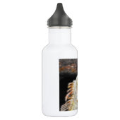 Fracguana Waterfles (Links)