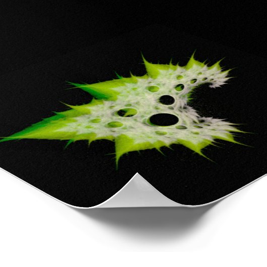 Fract~Plant Poster (Hoek)