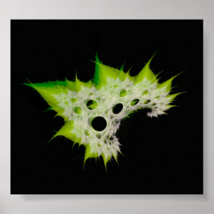Fract~Plant Poster