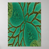 Fractaal blad detail poster (Voorkant)