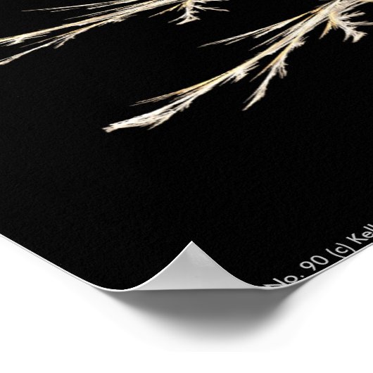 Fractal 90 Poster (Hoek)