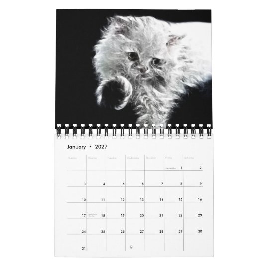 Fractal Animal Portraits 2012 Agenda Kalender (Jan 2027)