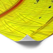 Fractal Art. 41 Poster (Hoek)