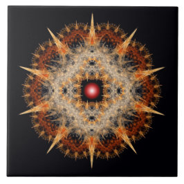 Fractal barbed star ornament tegeltje