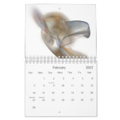 Fractal Calendar Kalender (Feb 2027)
