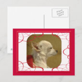 Fractal Chihuahua Briefkaart (Voorkant / Achterkant)