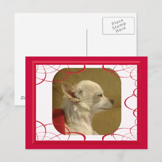 Fractal Chihuahua Briefkaart (Voorkant / Achterkant)