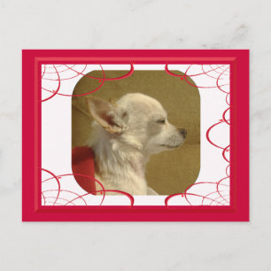 Fractal Chihuahua Briefkaart