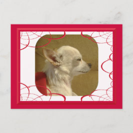 Fractal Chihuahua Briefkaart