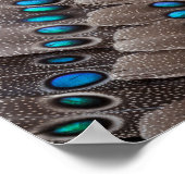 Fractal Design Fazant Veer Poster (Hoek)
