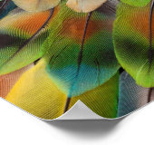 Fractal Design of Lovebird Feathers Poster (Hoek)