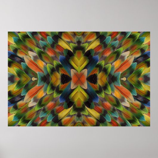 Fractal Design of Lovebird Feathers Poster (Voorkant)