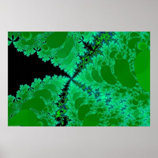 Fractal Flora Poster (Voorkant)