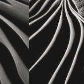 Fractal Flow Behang (Zoom)