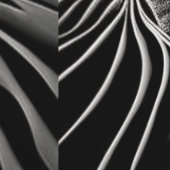 Fractal Flow Behang (Zoom)