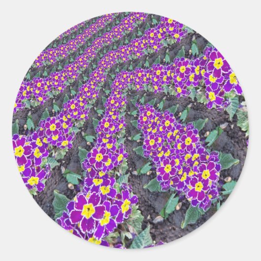 Fractal Flowers Ronde Sticker (Voorkant)