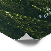 Fractal Forest Poster (Hoek)