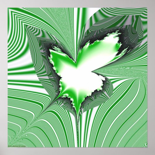 Fractal Projection 1.4g2 Poster (Voorkant)