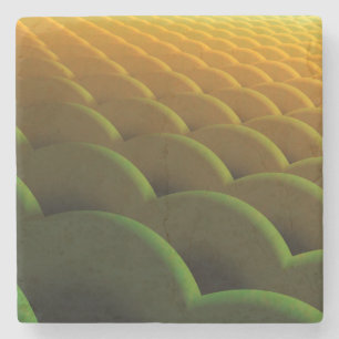 Fractal Scales Stone Onderzetter