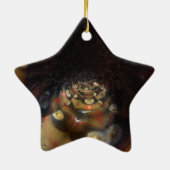 Fractal Uw Aangepaste Ster Ornament (Achterkant)