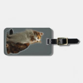 Fractal van de Kat van het calico Bagagelabel (Voorkant horizontaal)