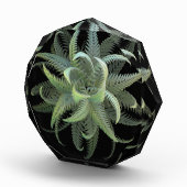 Fractal Varens in Bloei Fotoblokken (Rechts)