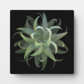 Fractal Varens in Bloei Fotoplaat (Voorkant)