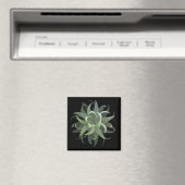 Fractal Varens in Bloei Magneet (Insitu (Vaatwasser))