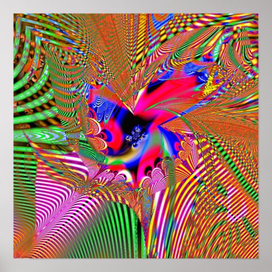 Fractale projectie 1.7d1 poster (Voorkant)