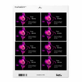 FRACTALE ROOS 1 Roze Fuchsia Paars Black Etiket (Full Sheet)