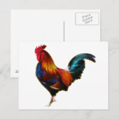 Fractalius Leghorn Rooster Briefkaart (Voorkant / Achterkant)
