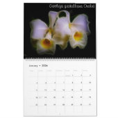 Fractalius Orchids 2012 Kalender (Jan 2026)