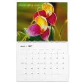 Fractalius Orchids 2012 Kalender (Mar 2027)