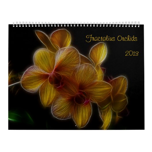 Fractalius Orchids 2012 Kalender (Hoes)