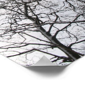 Fractals in Natuur: Foto Poster  kweken (Hoek)