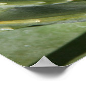 Fractals van natuur poster (Hoek)