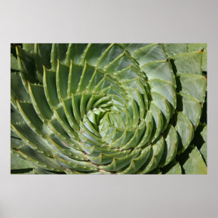 Fractals van natuur poster