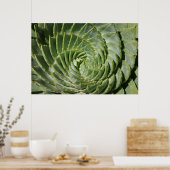 Fractals van natuur poster (Keuken)