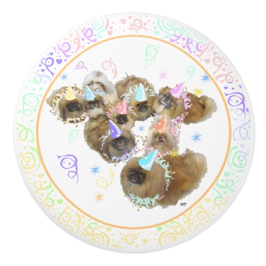 Fractie Keramische Knop (Voorkant)