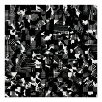 "Fractura" - Zwart Wit Camouflagepatroon