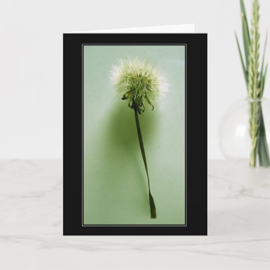 Fragiel Kaart (Voorkant)