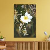 Fragiele woestijnbloei canvas afdruk (Insitu (Woonkamer))