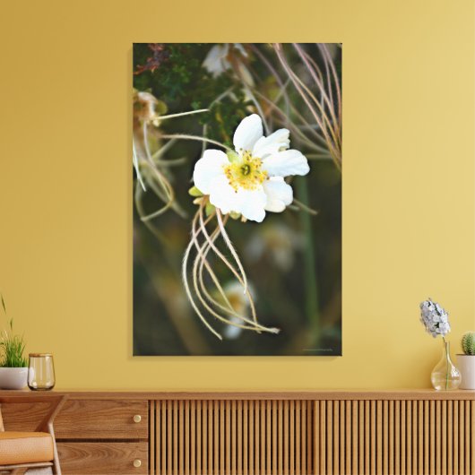 Fragiele woestijnbloei canvas afdruk (Insitu (Woonkamer))