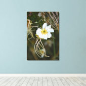 Fragiele woestijnbloei canvas afdruk (Insitu (Houten vloer))