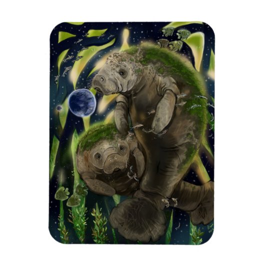 Fragile balanceerbeheer magneet (Verticaal)