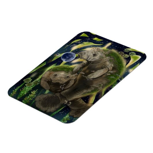 Fragile balanceerbeheer magneet (Linkerzijde)